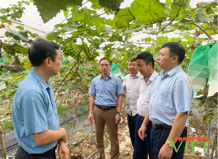 Than Uyên quan tâm phát triển kinh tế tập thể