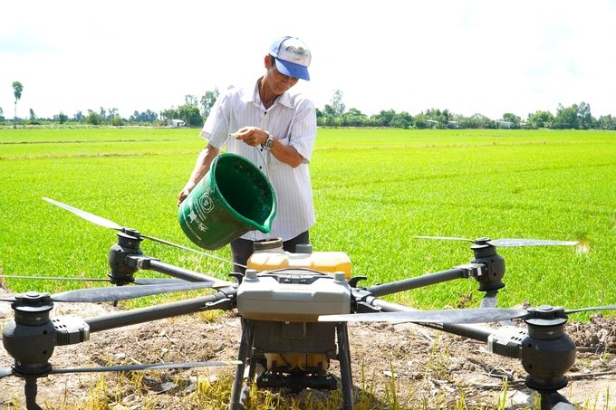 Nông dân mách bí quyết diệt rong meo trong ruộng lúa