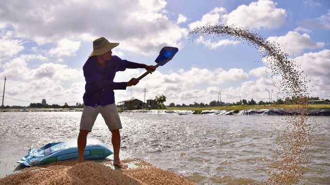 Tổn thất sau thu hoạch nông sản, thủy sản chiếm 12% GDP toàn ngành nông nghiệp