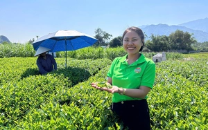 Sáng nay, 19/12, diễn ra tọa đàm trực tuyến: Xuất khẩu nông sản năm 2024 - Kỷ lục mới, vị thế mới