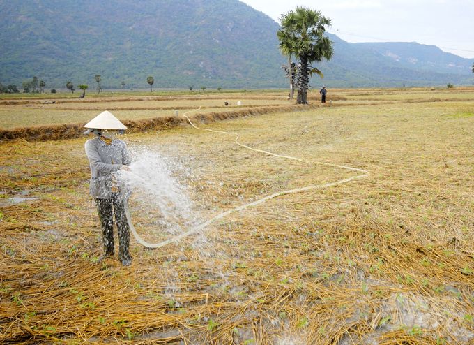 Xâm nhập mặn mùa khô năm 2025 sẽ cao nhưng không gay gắt