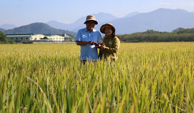 'Cánh đồng không dấu chân' lợi nhuận tăng từ 33 - 38%