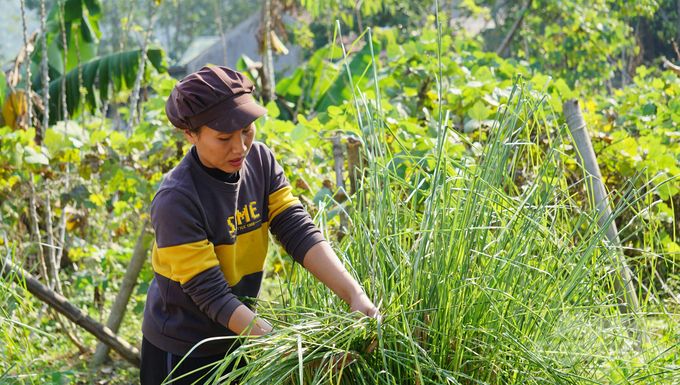 Người phụ nữ độc hành theo đuổi mô hình vườn rừng