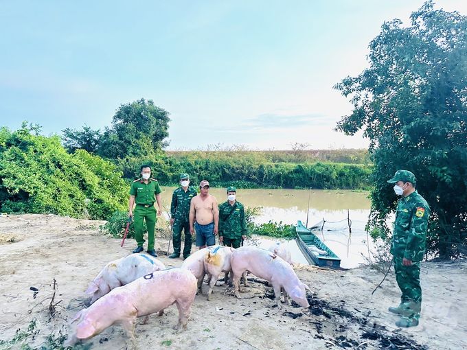 Buôn bán, vận chuyển trái phép lợn qua biên giới vô cùng phức tạp, Bộ NN-PTNT yêu cầu xử lý nghiêm