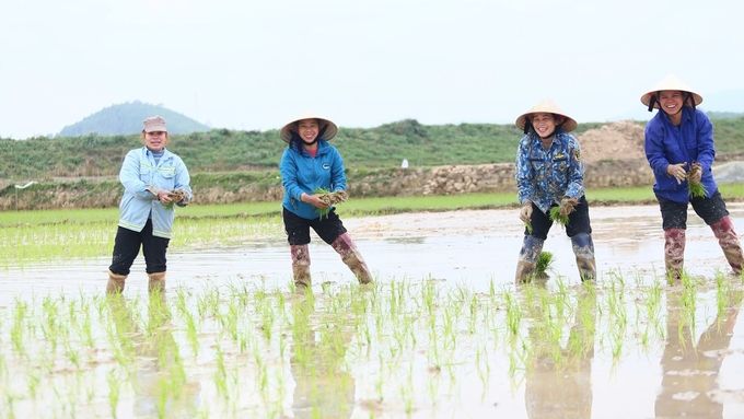 Nông dân Nghệ An hồ hởi xuống đồng