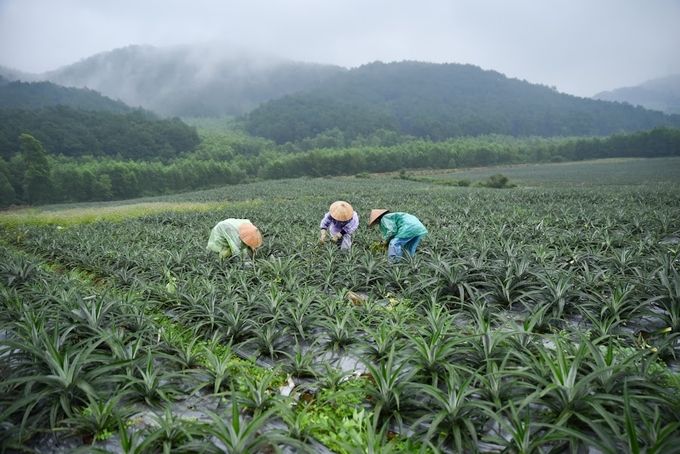 Có một Đồng Giao trên đất Hà Tĩnh