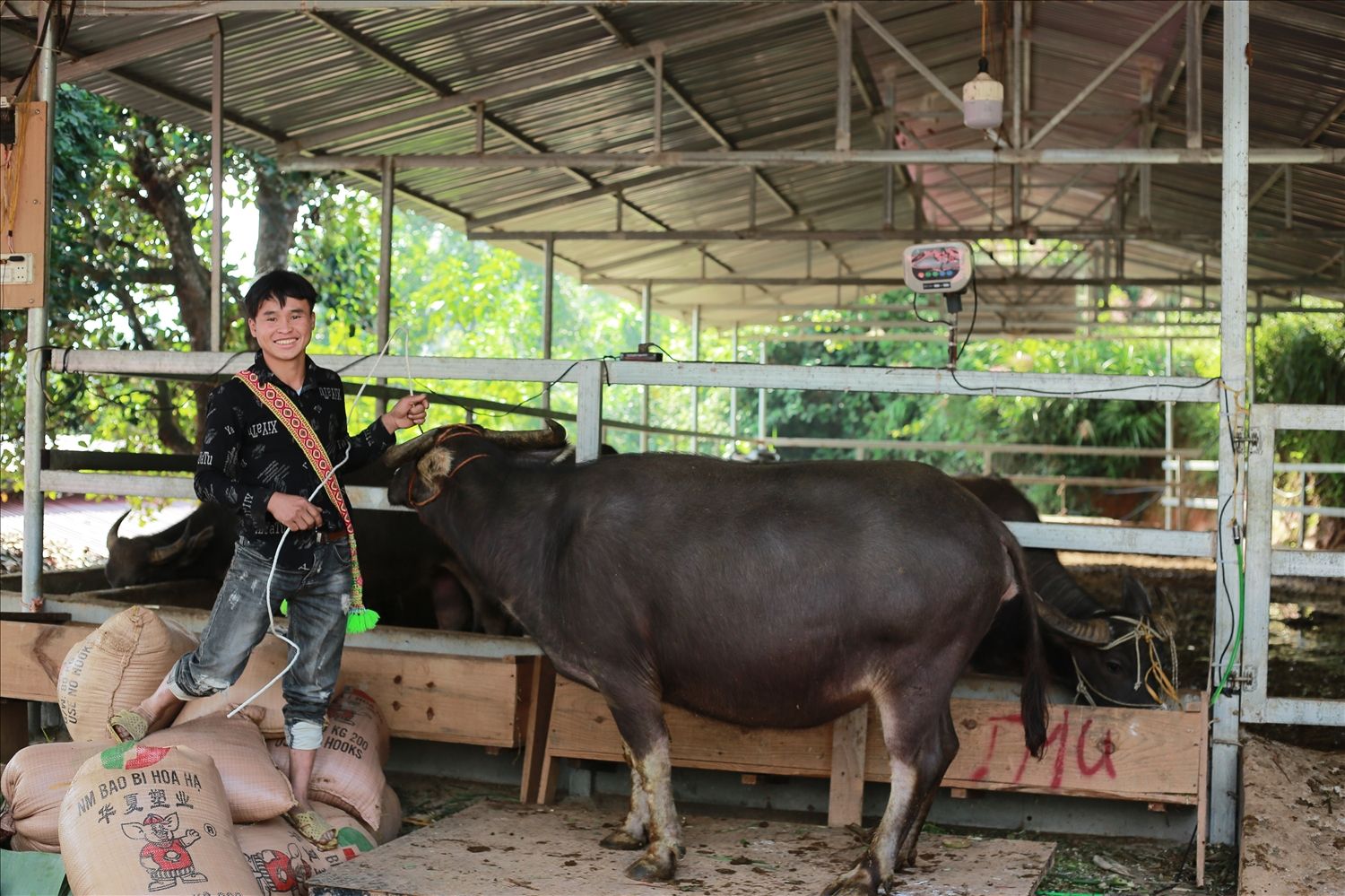 Giảm nghèo Hà Giang, đồng bào dân tộc Cờ Lao gây dựng mô hình sản xuất mới, tăng thu nhập