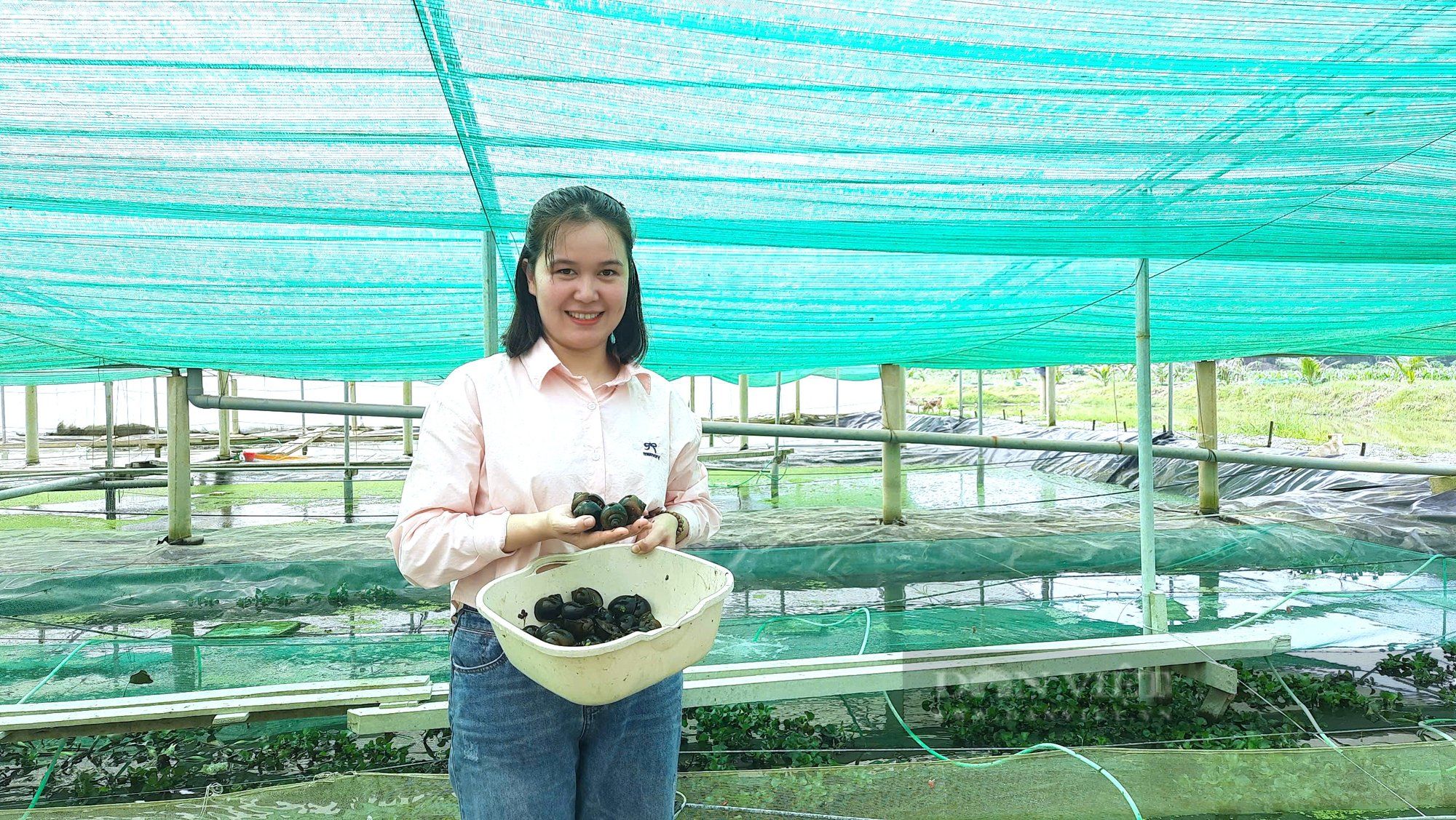 Một trang trại công nghệ cao ở Quảng Trị nuôi thành công con đặc sản hiền như cục đất, bán hút hàng