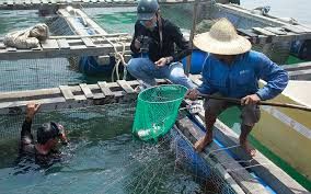 Gấp rút vào vụ nuôi thủy sản quan trọng nhất năm