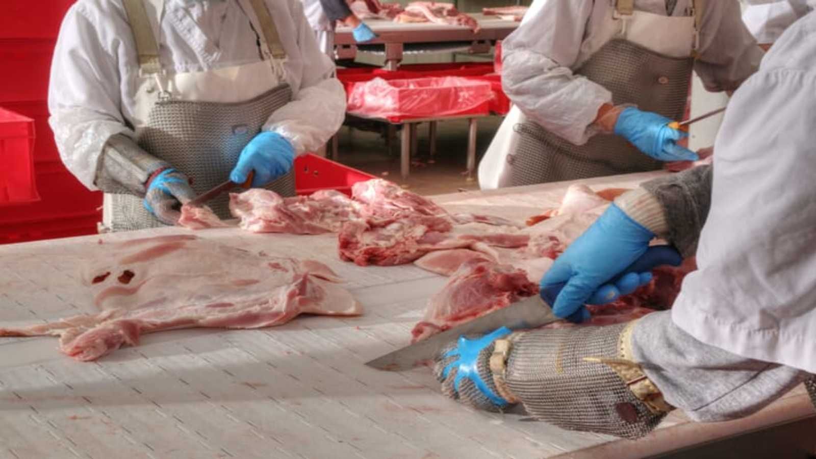 'Bão' giá lợn càn quét: [Bài cuối] Các nước xoay xở ra sao?