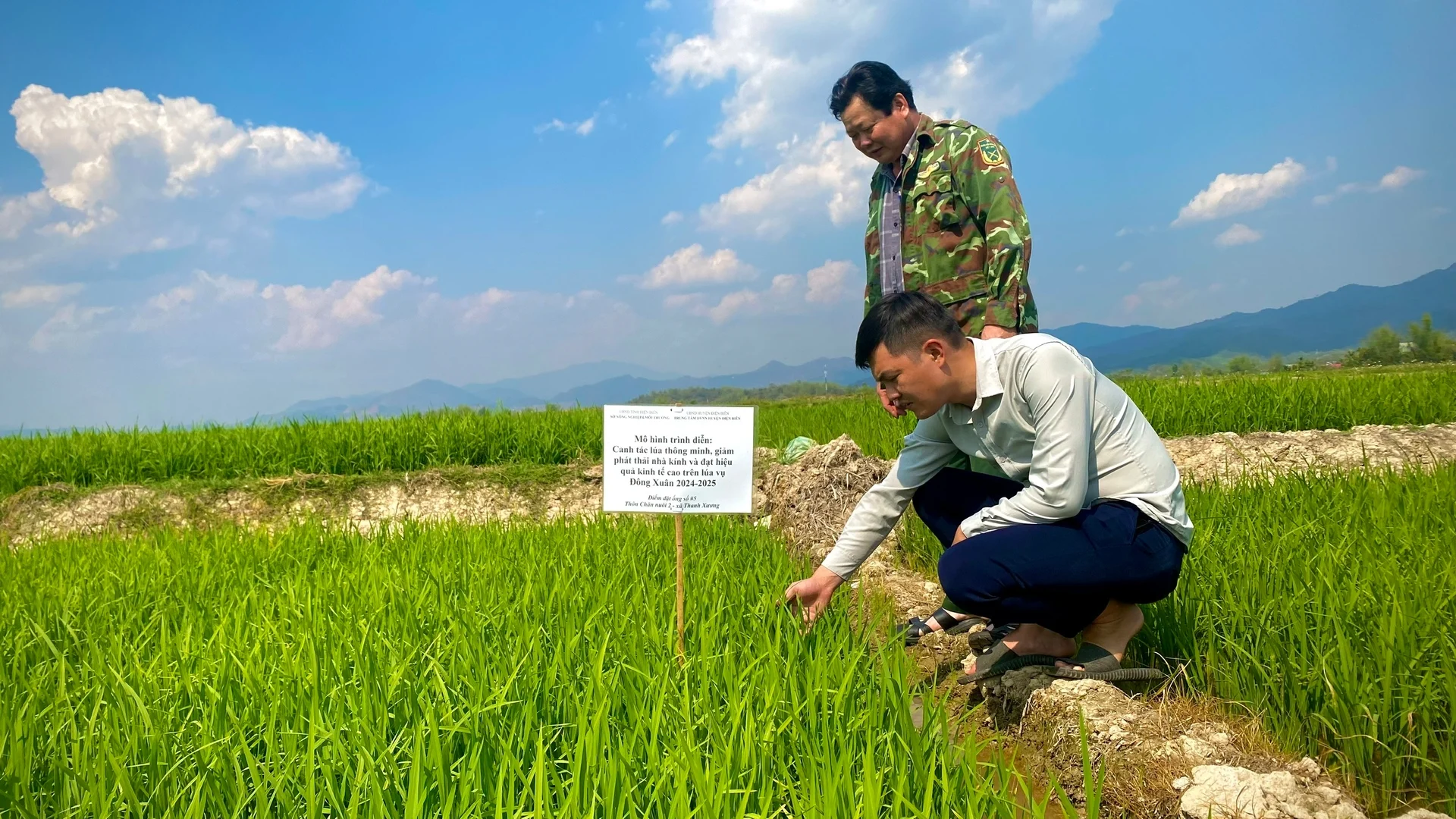 Định vị giá trị gạo Điện Biên: [Bài 4] Để lúa được thở, đất được nghỉ
