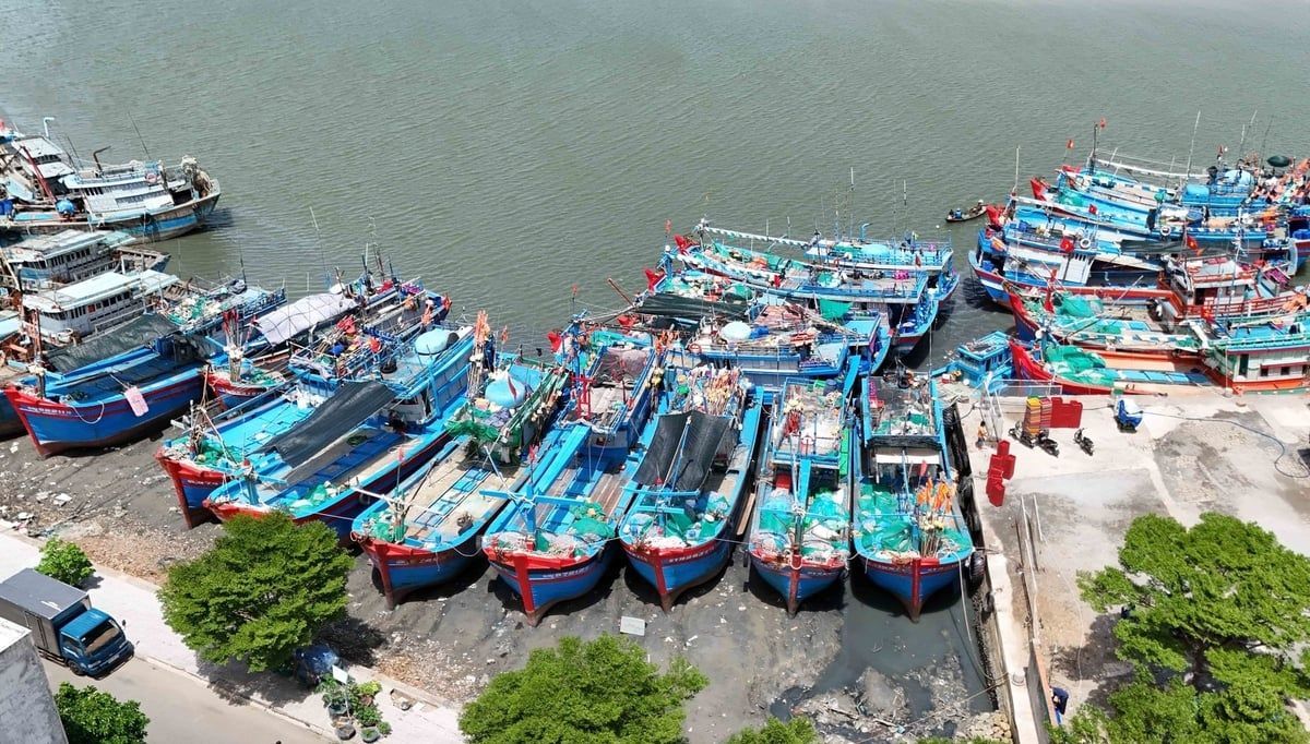Chuyển biến tích cực trong chống khai thác IUU: [Bài 1] Tuyệt đối không vượt ranh giới
