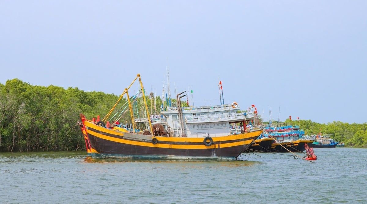 Chuyển biến tích cực trong chống khai thác IUU: [Bài 2] Đẩy mạnh công nghệ, chuyển đổi số