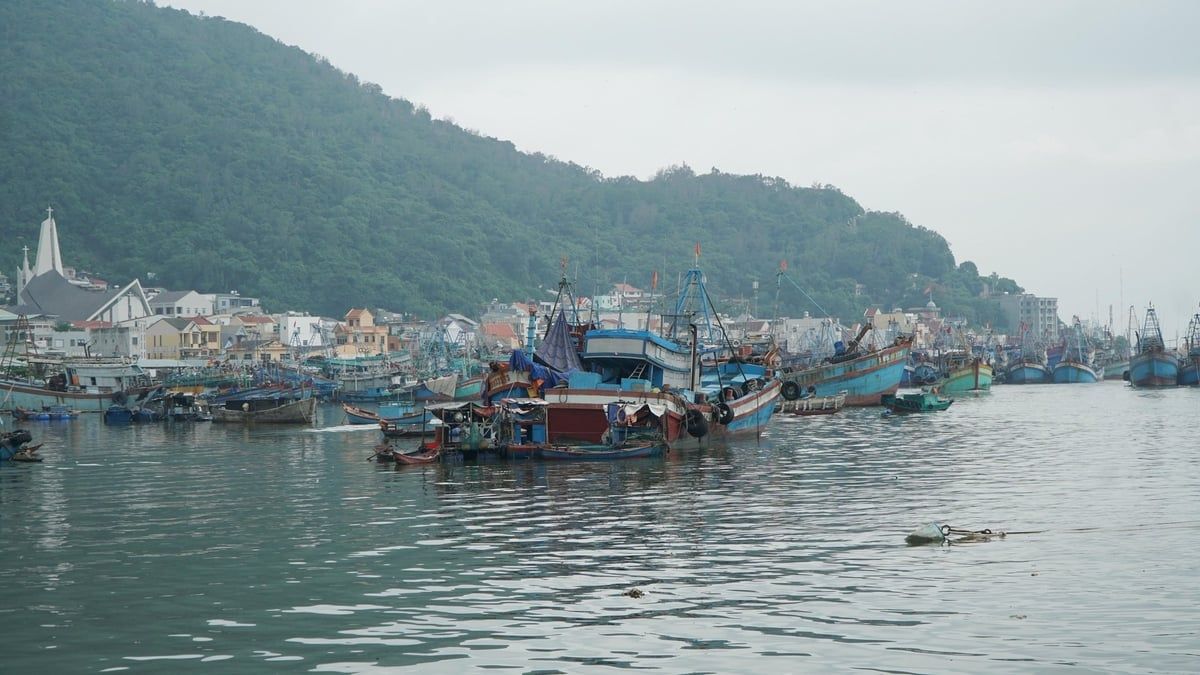 Chuyển biến tích cực trong chống khai thác IUU: [Bài 3] Chuyển đổi nghề để phát triển bền vững