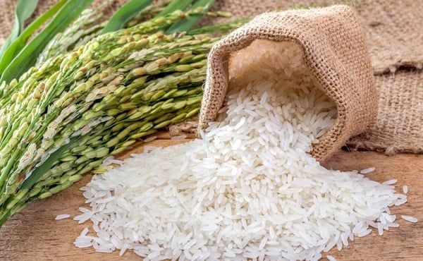 Giá lúa gạo hôm nay 20/4/2025: Gạo xuất khẩu lại giảm giá