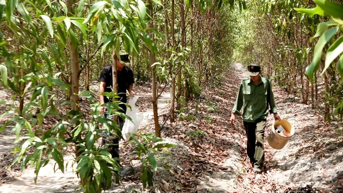 'Cuộc chiến' giữ rừng phòng hộ: [Bài 4] Nhân rộng diện tích rừng FSC