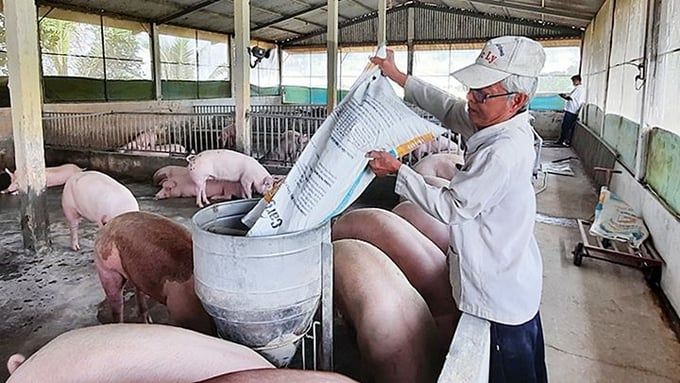 Giá heo hơi hôm nay 12/5/2025: Giảm nhẹ vài nơi
