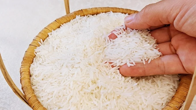 Giá lúa gạo hôm nay 12/5/2025: Lúa tiếp tục xu hướng giảm
