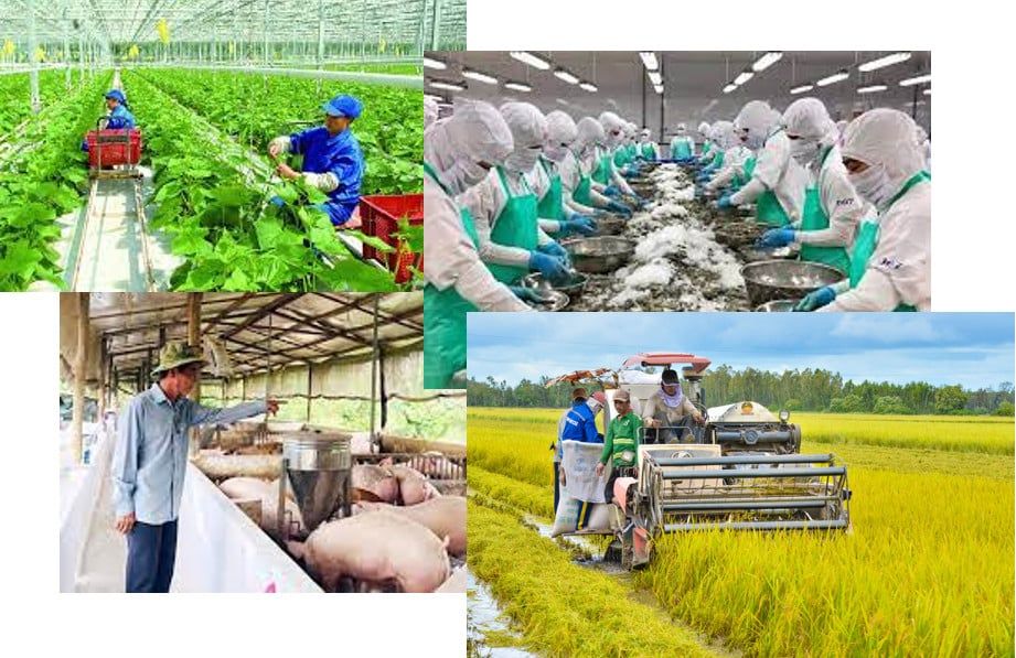 Thủ tướng có chỉ đạo mới nhất về ứng phó với thay đổi thuế quan của một số quốc gia, xử lý nghiêm gian lận xuất xứ, lợi dụng ép giá