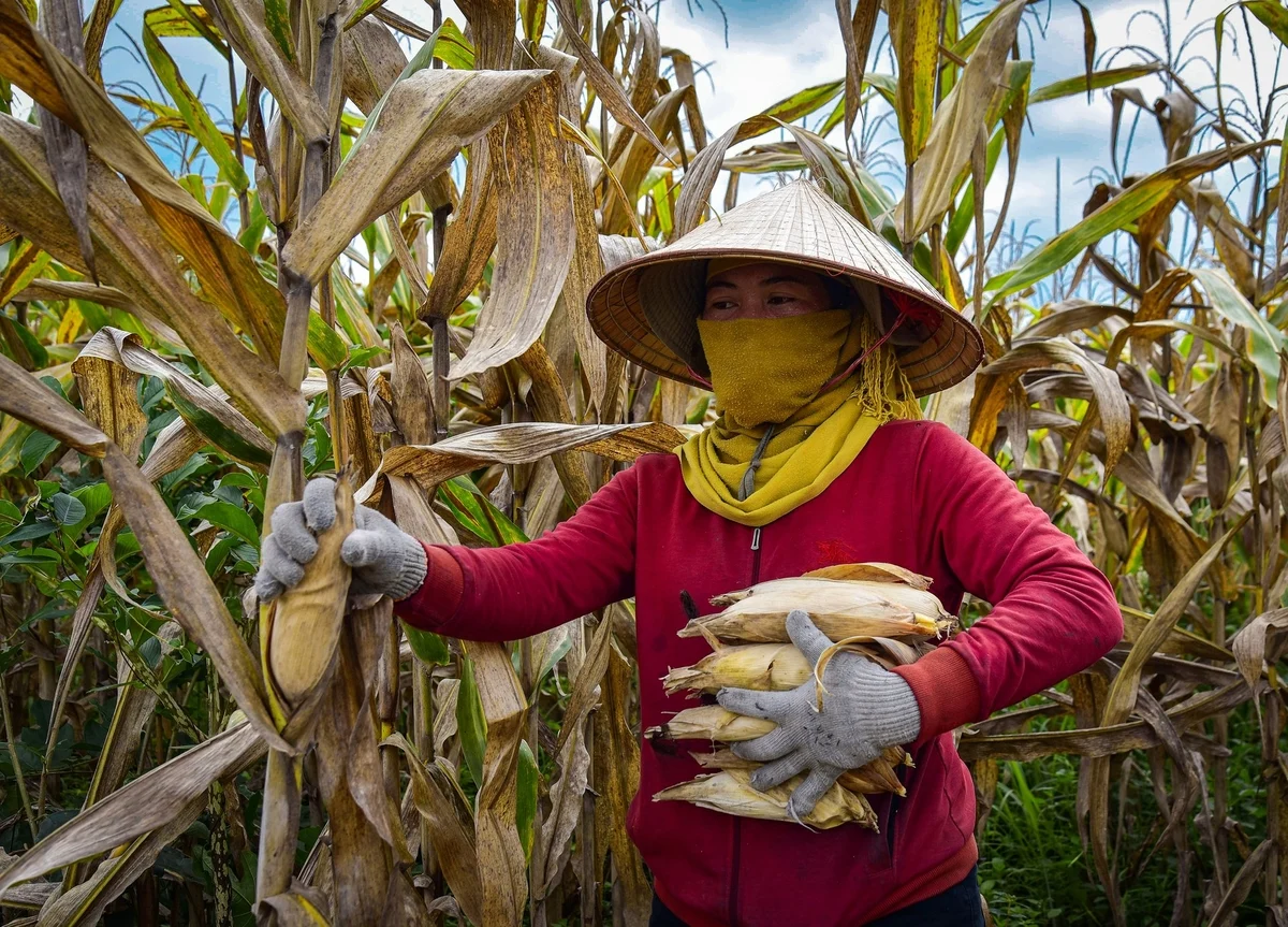Krông Nô chuyển mình từ nông nghiệp truyền thống sang công nghệ cao