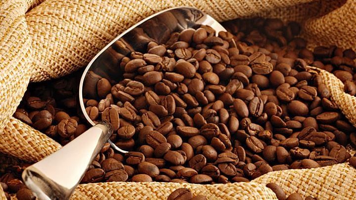 Giá cà phê hôm nay 17/5/2025: Đồng loạt giảm mạnh