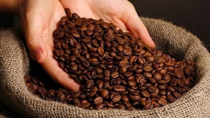 Giá cà phê hôm nay 23/5/2025: Thế giới giảm mạnh