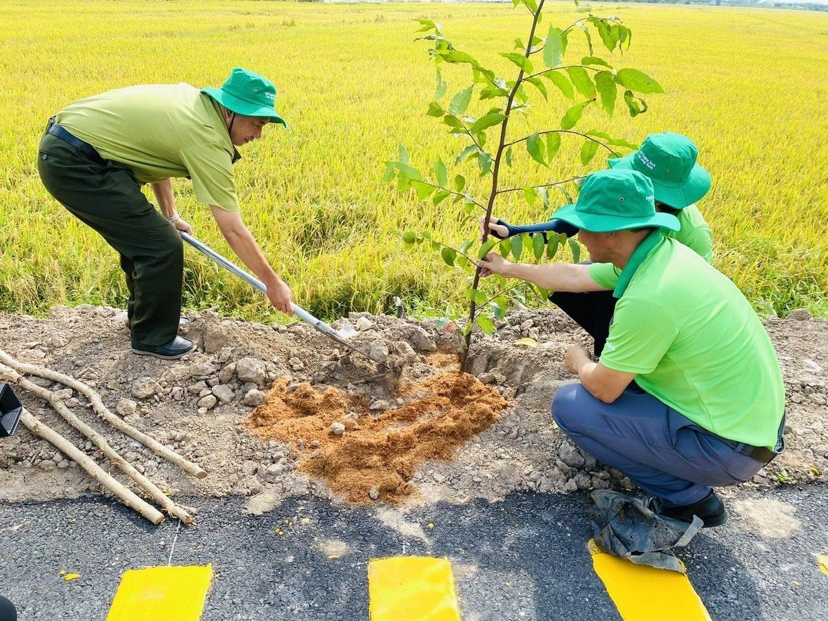 Cần Thơ đặt mục tiêu trồng hơn 1,4 triệu cây xanh