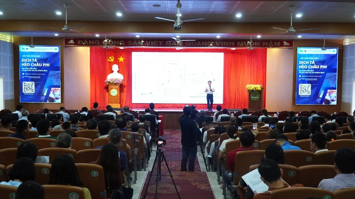 Giải mã đáp ứng miễn dịch là chìa khóa phòng dịch tả heo Châu Phi