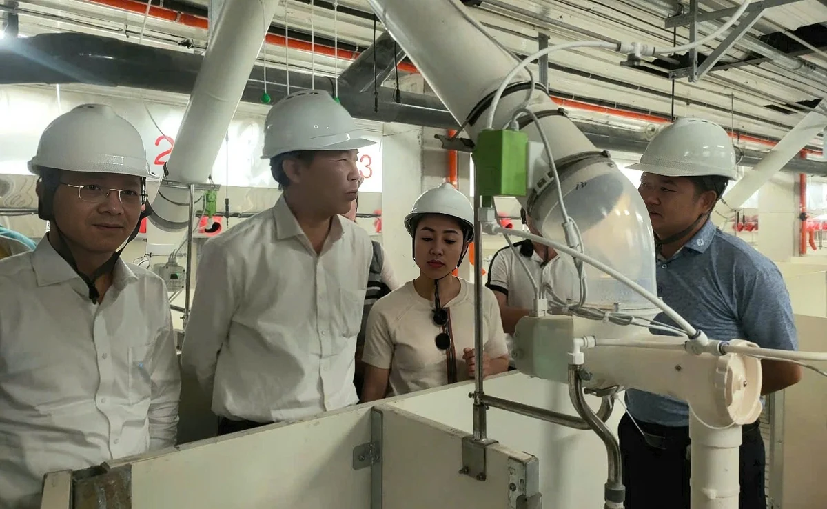 Tăng hiệu suất sử dụng đất nhờ mô hình trại lợn nhiều tầng
