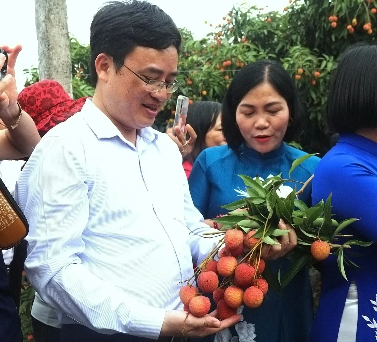 Thông quan mở lối, vải thiều thêm đường đi xa