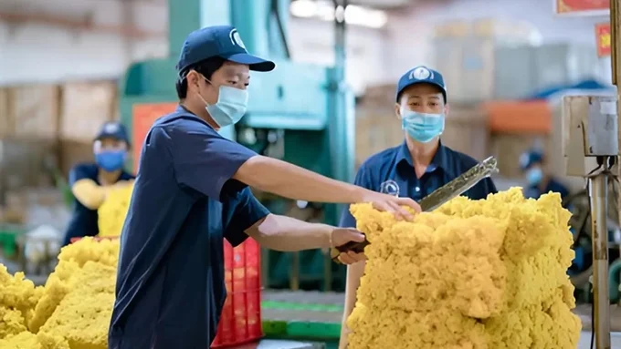 Giá cao su hôm nay 9/6/2025: Thế giới đồng loạt tăng
