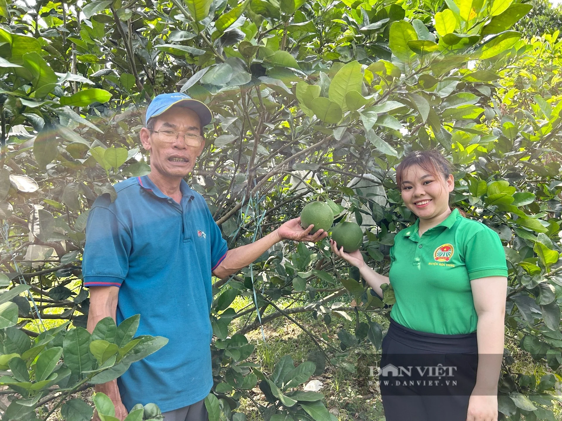 Xây dựng các mô hình kinh tế nông nghiệp hiệu quả, điểm sáng trong công tác Hội Nông dân Đà Nẵng