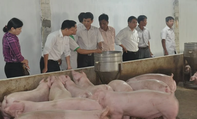 Ra mắt Hệ thống truy xuất nguồn gốc cơ sở chăn nuôi, sản phẩm chăn nuôi