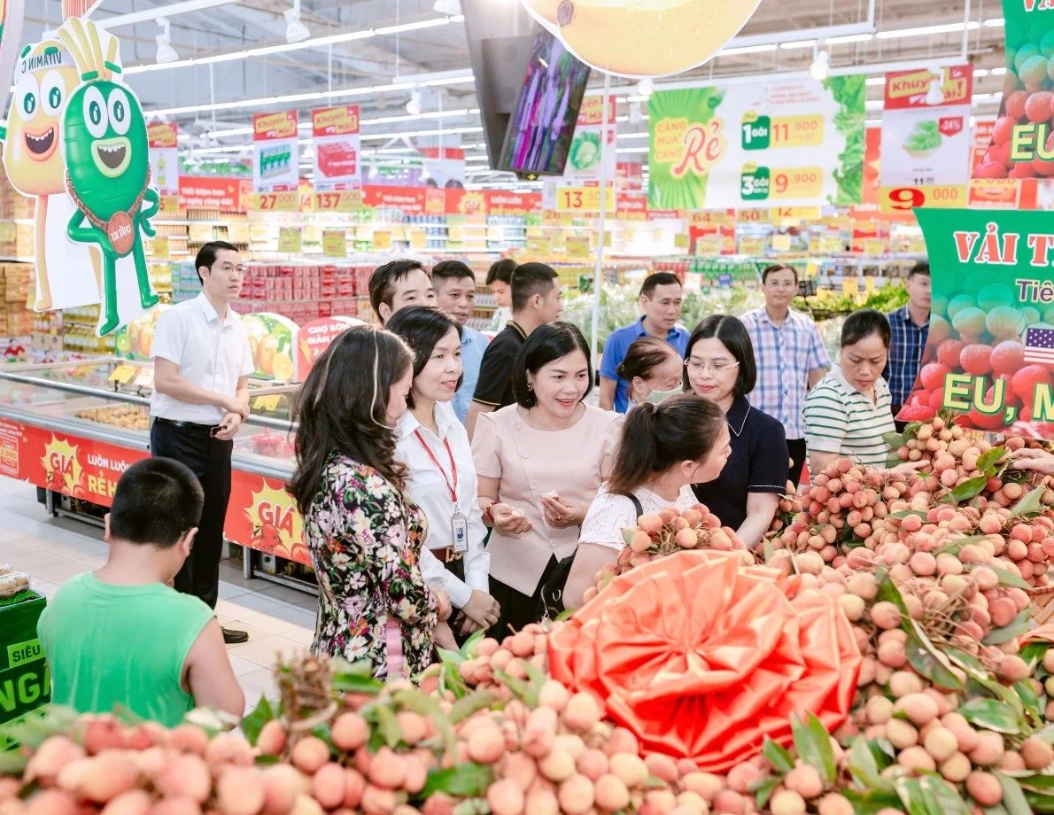 Vải thiều Thanh Hà lên kệ siêu thị GO! Hải Phòng
