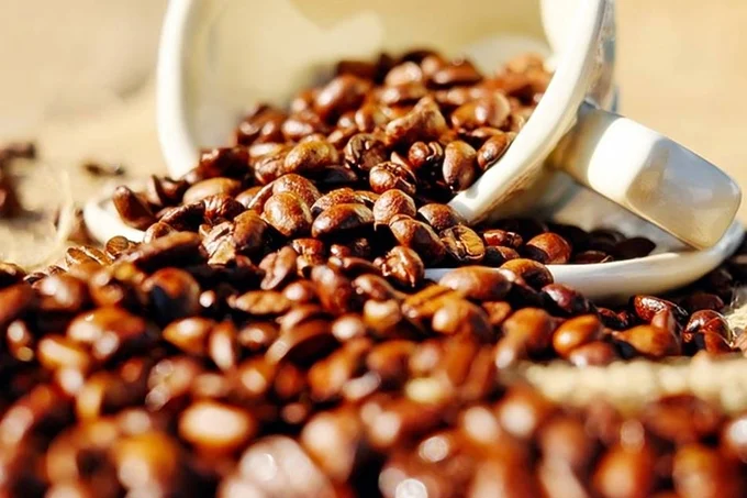 Giá cà phê hôm nay 20/6/2025: Arabica vẫn lao dốc