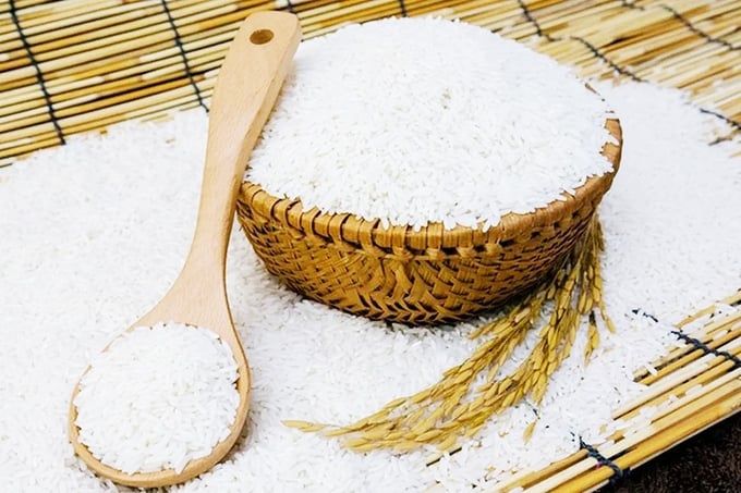 Giá lúa gạo hôm nay 21/6/2025: Lúa biến động nhẹ