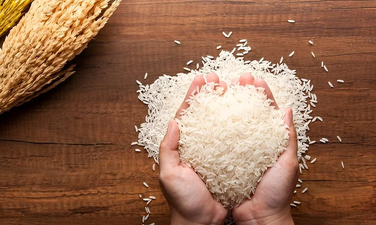Giá lúa gạo hôm nay 25/6/2025: Gạo xuất khẩu giảm