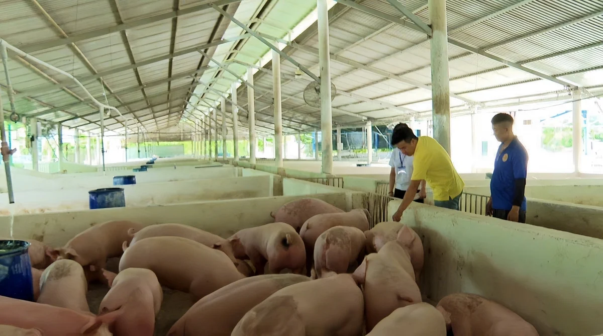 Ứng dụng công nghệ số trong phòng chống dịch bệnh: [Bài cuối] Mong có bản đồ miễn dịch số