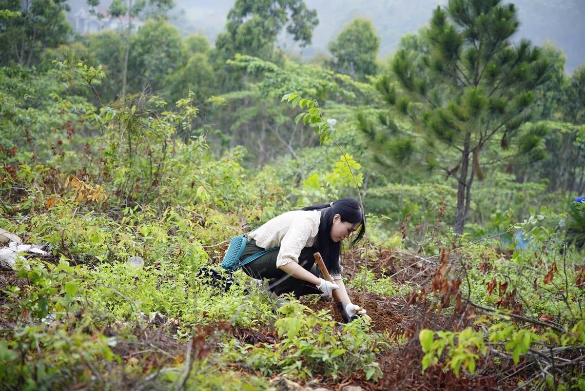 3.000 cây giống chung tay phục hồi đất đai, mở lối cho tương lai xanh