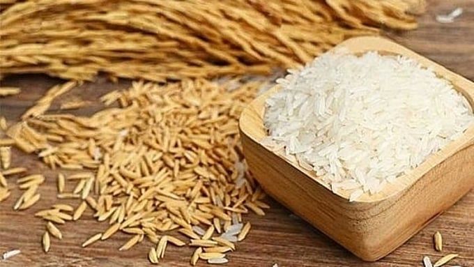 Giá lúa gạo hôm nay 26/6/2025: Gạo xuất khẩu tiếp tục giảm giá