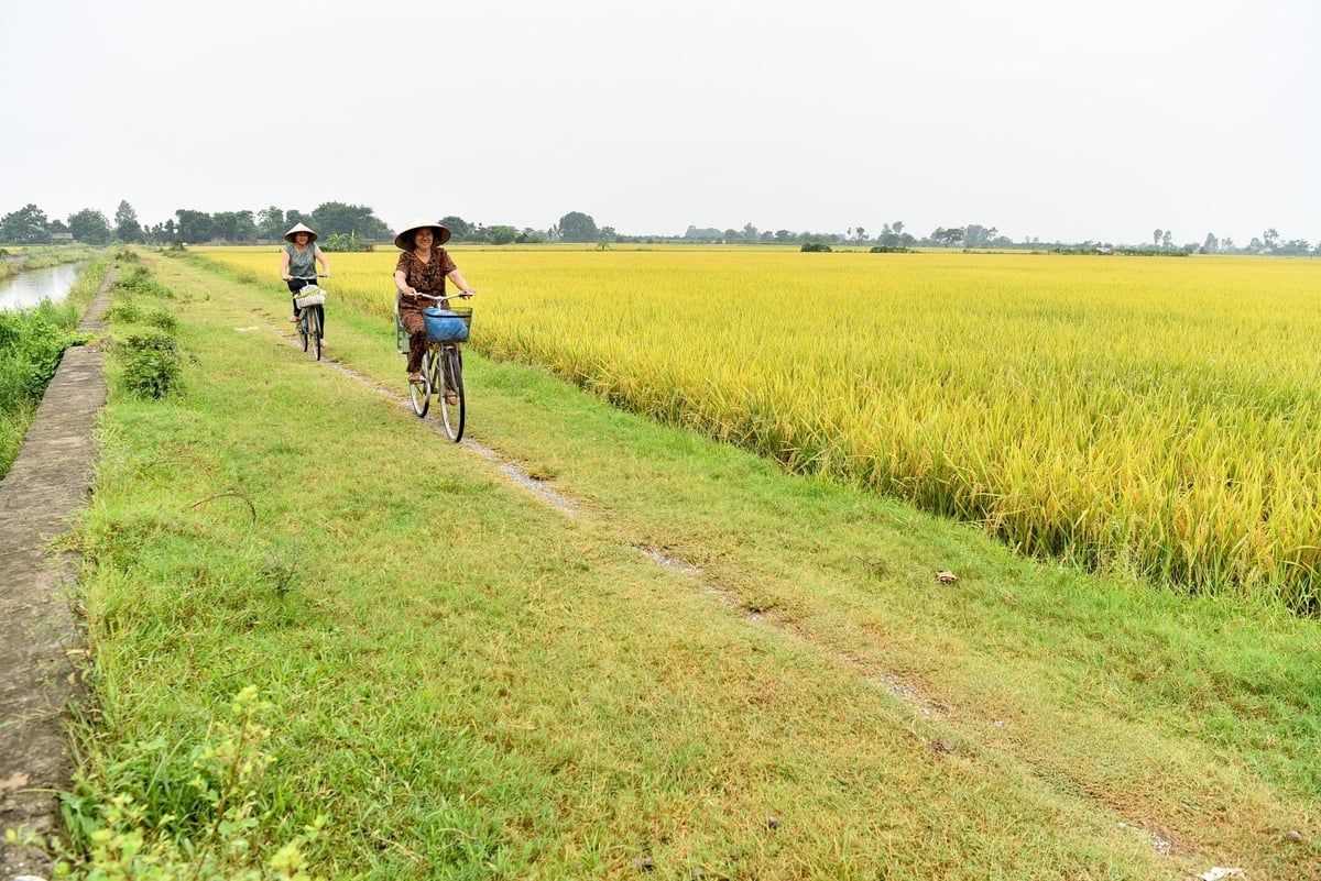 Nơi nông dân xỏ tay túi quần ra đồng