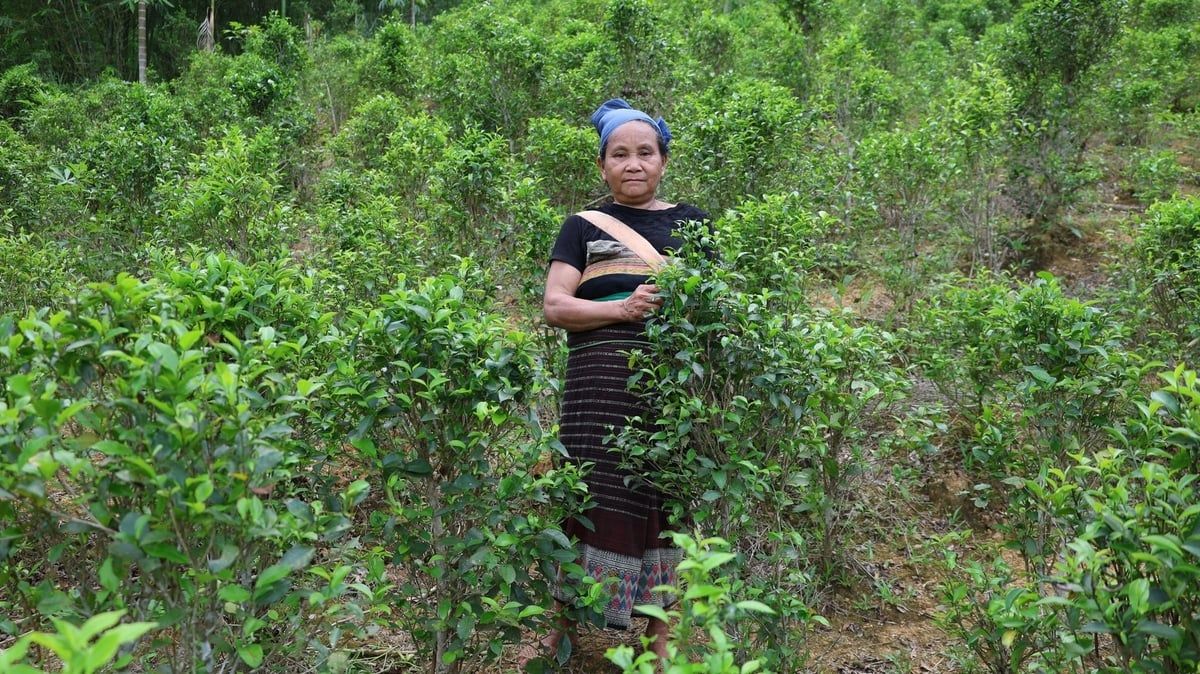Chè Tán Ma - nét đẹp truyền thống của người Thái