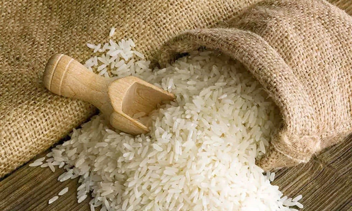Giá lúa gạo hôm nay 29/6/2025: Thị trường vẫn không đổi