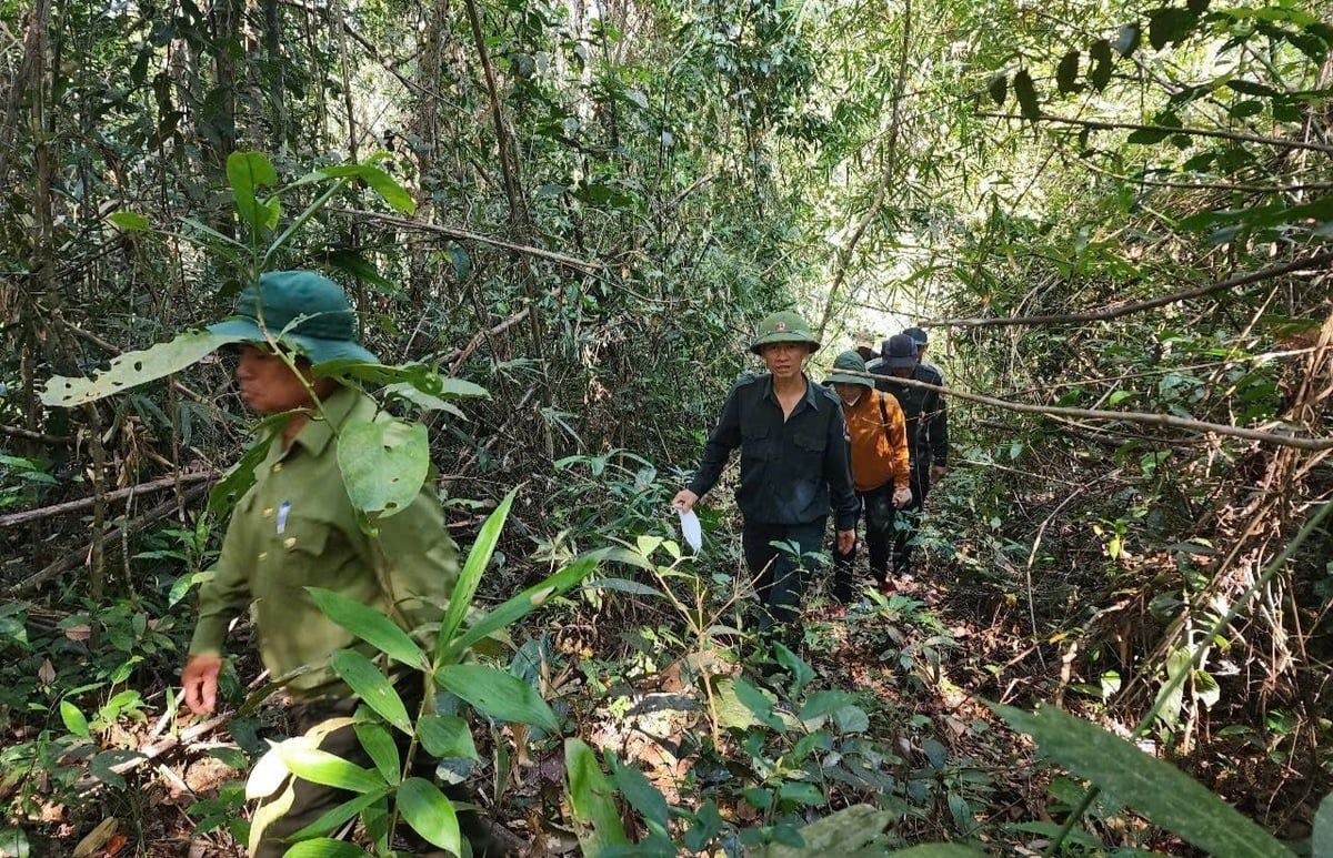 Bình Thuận: Dịch vụ môi trường rừng giúp cải thiện sinh kế cho người giữ rừng