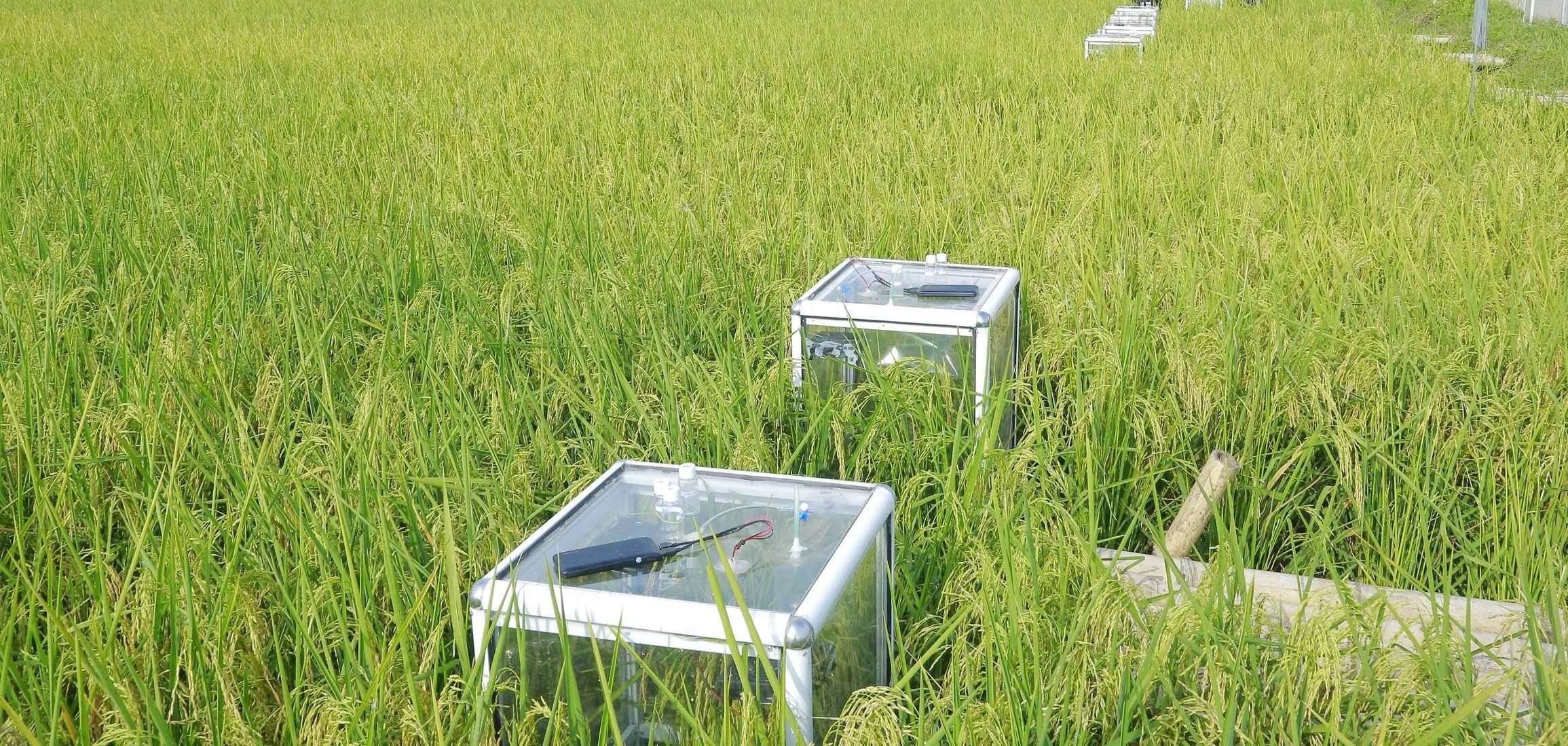 Ruộng biết ‘thở’, nông dân đỡ cực