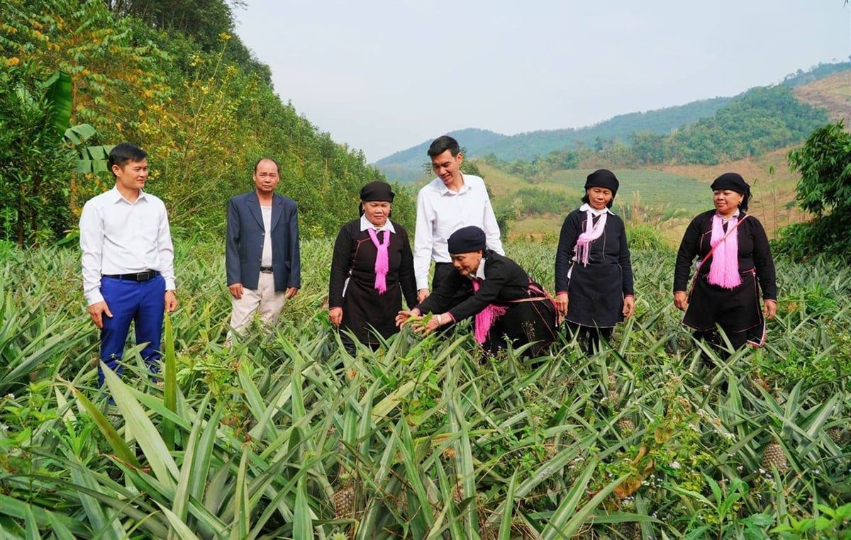 Cây ăn quả - 'ngôi sao' trong nông nghiệp Bảo Thắng