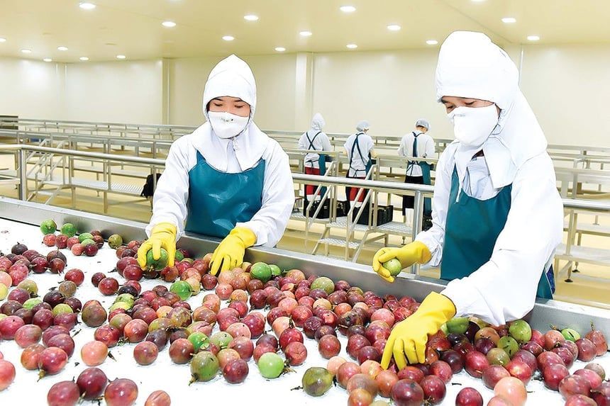 Hết thời đi vòng, chanh leo, ớt tươi nhập cuộc chơi hậu kiểm quốc tế