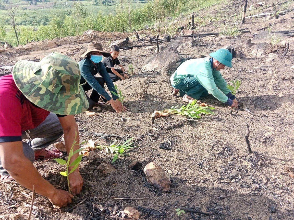 Mùa gieo những mầm xanh