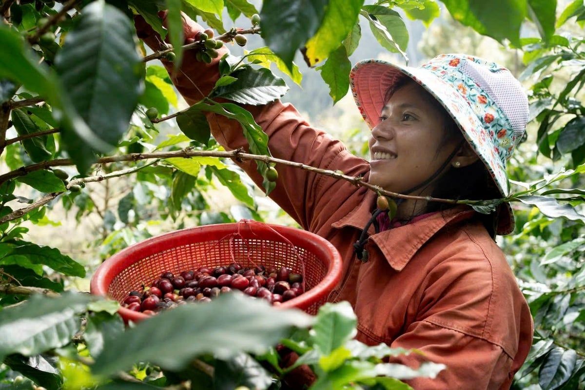 Nghị quyết 68-NQ/TW - Kiến tạo đường băng cho nông nghiệp cất cánh [Bài 3]: Kích hoạt kinh tế tư nhân từ hạt nhân hợp tác xã