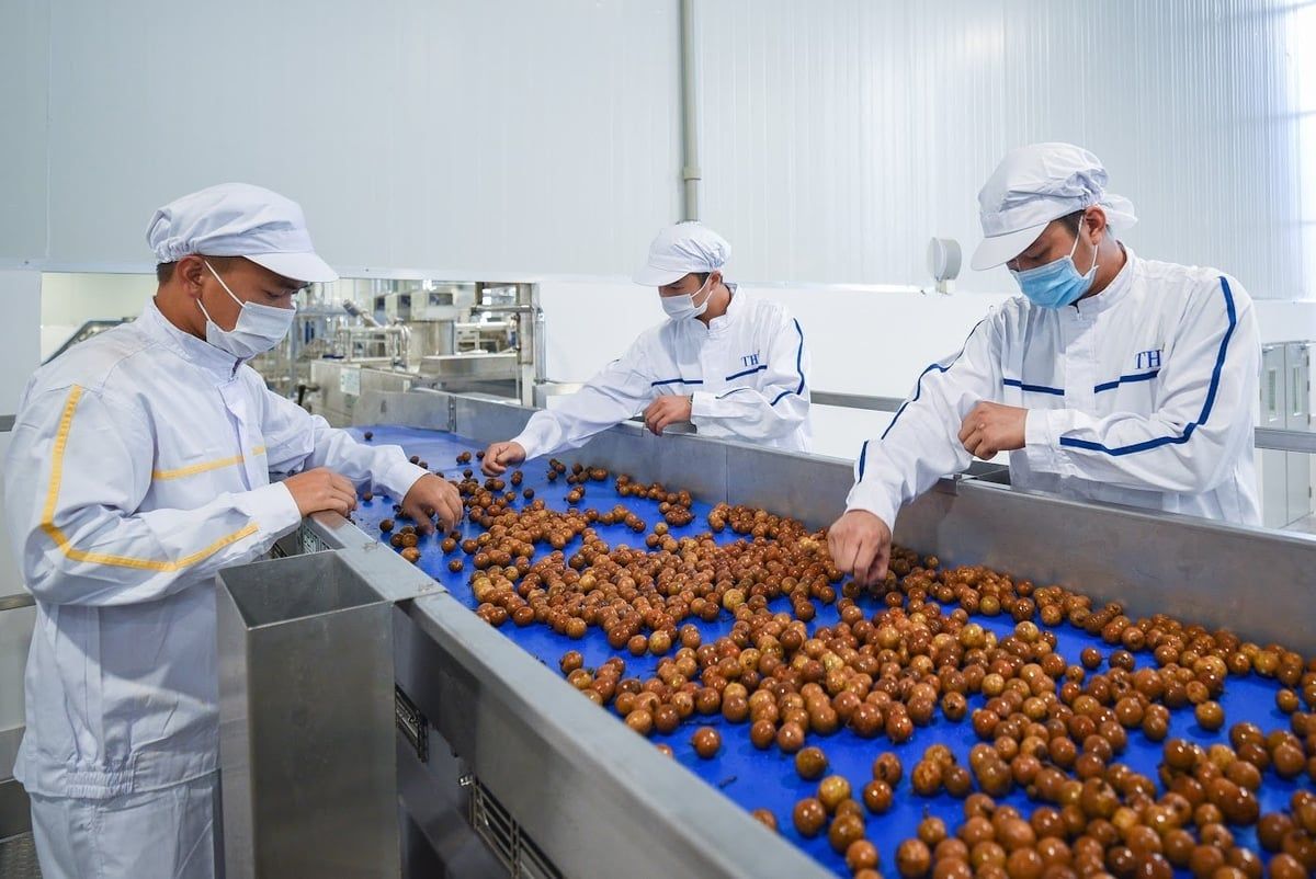 Những nút thắt cần gỡ để ngành hàng trái cây vượt thách thức